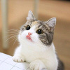 tika57