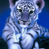 tigra_baby