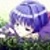 Silver_lea