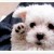 natali_sng