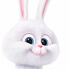 Super_white_rabbit