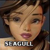 seagull20