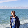 Mollinezi