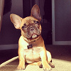 La_Molly