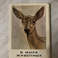 Отдается в дар Набор открыток «Животные»