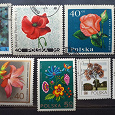 Отдается в дар Цветы. Почтовые марки Польши.