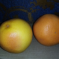 Отдается в дар 2 грейпфрута