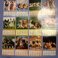 Отдается в дар календари с кошками-собаками.