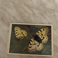 Отдается в дар Набор открыток «Бабочки»