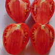 Отдается в дар Семена помидоров на густую пасту «Вельможа»