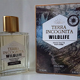 Отдается в дар Terra Incognita Wildlife Brocard