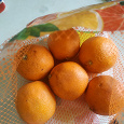 Отдается в дар Апельсины