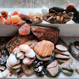 Отдается в дар Коллекция камней из разных морей