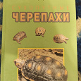 Отдается в дар Сухопутные черепахи