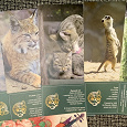 Отдается в дар Открытки с обитателями Новосибирского зоопарка