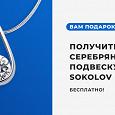 Отдается в дар Серебряная подвеска Соколов
