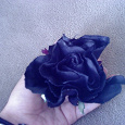 Отдается в дар черная роза