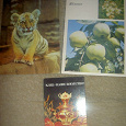 Отдается в дар В разные коллекции — открытки, календарики, бирматы, переводки-тату