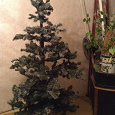 Отдается в дар Новогодняя елка, высота 1,60 см