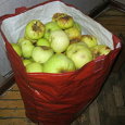 Отдается в дар яблоки на компот или варенье