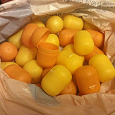 Отдается в дар Пластиковые яйца от Киндер Сюрприза