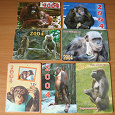 Отдается в дар Календарики с обезьянками
