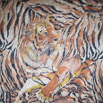 Отдается в дар Кусок ткани с тиграми