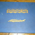 Отдается в дар Промысловые рыбы СССР. 1959 год. Что-то типо сброшурованного наглядного пособия формата А4.