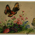 Отдается в дар Немецкая открыточка, бабочки и цветы.