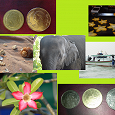 Отдается в дар Тайские монеты -баты.
