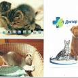 Отдается в дар Рекламные открытки с кошками
