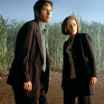 Отдается в дар Дар для фанатов сериала X-Files (Секретные Материалы)
