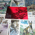 Отдается в дар Набор открыток краснокнижных животных, СССР