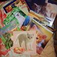 Отдается в дар Календари настенные с кошками