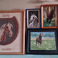 Отдается в дар Картины с лошадьми