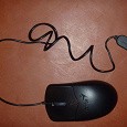 Отдается в дар Мышка Для Ноутбука Genius NetScroll 310X