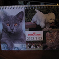 Отдается в дар календарь 2010 royal canin