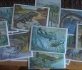 Отдается в дар Карточки 16 шт — Динозавры