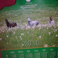 Отдается в дар Настенный плакат-календарь на 2010 год