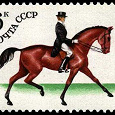 Отдается в дар марки, СССР 1982 год «Породы лошадей».