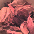 Отдается в дар Сушеные лепестки и бутоны роз