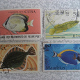 Отдается в дар почтовые марки-рыбы