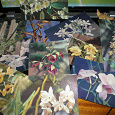 Отдается в дар Набор открыток «Орхидеи»