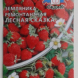 Отдается в дар Семена земляники «Лесная сказка»