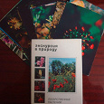 Отдается в дар Набор открыток «Лекарственные растения»
