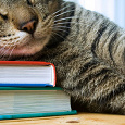 Отдается в дар Книги о кошках и животных