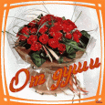 Отдается в дар Хомячки