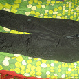Отдается в дар штаны теплые 46-48 размер