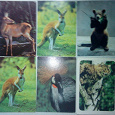 Отдается в дар открытки животные