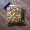 Отдается в дар зерна кукурузы для проращивания